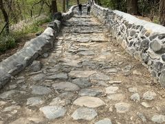 -阳台山自然风景区