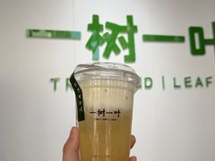 -一树一叶·福建茶档(石鼓路店)
