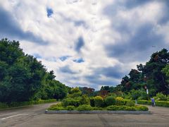 -长春市南湖公园