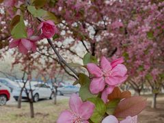 -蓝地时尚庄园(北京清河营地铁站店)