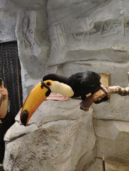 -Zoolung Zoolung动物主题公园(海信广场店)