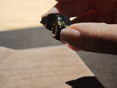 -泰安门Taian Table(镇宁路店)