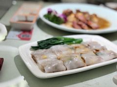 -南枝记