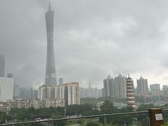 -小茶闲舍·观景商务茶馆(广州塔店)