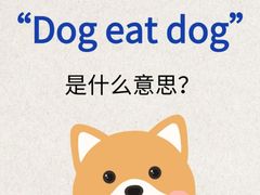 -朗阁·雅思托福·留学英语·国际学校(国贸校区)