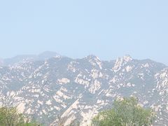 -大岭沟猕猴桃谷风景区