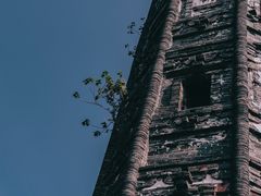 -上海佘山国家森林公园天马山园