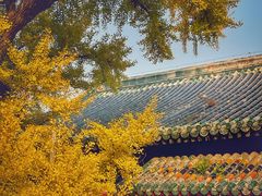 -大觉寺-停车场