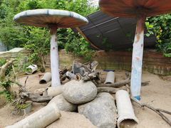 -泉州海丝野生动物世界