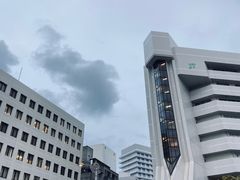 -国际通