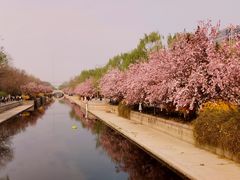 -海棠花溪(元大都城垣遗址公园)