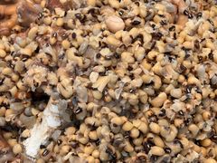 -农汤老店(顺联公园里店)