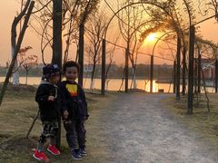 -上海长兴岛郊野公园