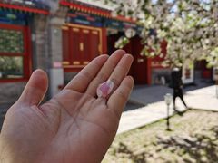 -恭王府博物馆