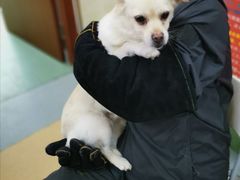 -康乐宝动物医院