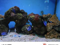 -大连老虎滩海洋公园