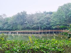 -云岗森林公园