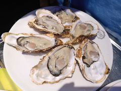 -千岛蚝高压锅生蚝·人参火锅(白云万达店)