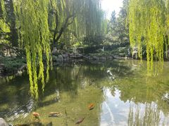-趵突泉景区