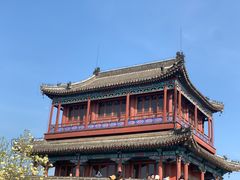 -老龙头景区