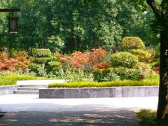-洛阳市隋唐城遗址植物园
