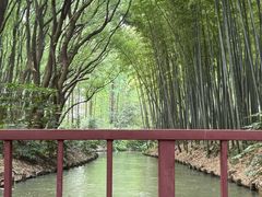 -同里国家湿地公园