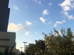 -邢氏老太太烤串(北兴街店)