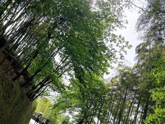 -莫干山风景区