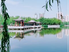 -莲花池公园