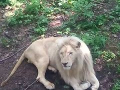 -哈尔滨北方森林动物园