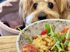 -Brut Eatery悦璞食堂(愚园路店)