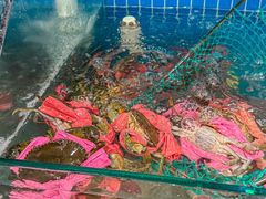 -辣螃铠盆盆蟹大排档(总店)