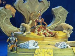 -广州长隆国际大马戏