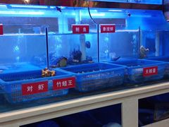 -小龍鳳·港式海鲜打边炉(沙湖路店)