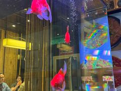 -原鄉本味 楚菜 丹江口鱼(北苑店)