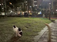 -赫尔森口腔·牙齿种植修复