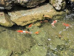 -隐食私房菜(渡口·光荣院南门·老街店)