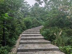 -张鸟园农家乐(张鸟园店)