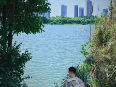 -金银湖国家城市湿地公园