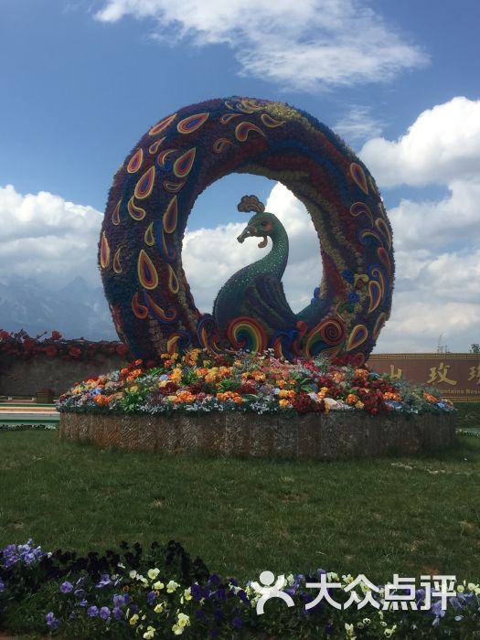 雪山玫瑰庄园图片 - 第14张