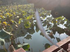 -南通濠河风景名胜区