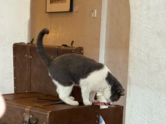 -Me Coffee下午茶艺术空间