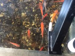 -颐和•海鲜砂锅粥•啫啫煲(奥林匹克广场店)