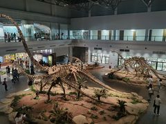 -自贡恐龙博物馆