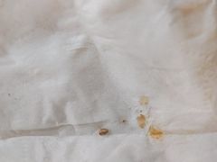 -椒椒铜炉火锅鸡(天马店)