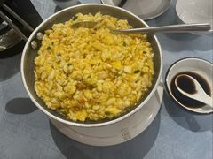 -丁老爷子苏香圆