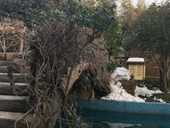 -金孔雀温泉旅游度假村