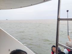 -八分场凉皮老店(正宗)