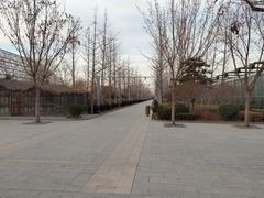 -南宫五洲植物乐园