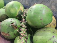 -墨脱石锅椰子鸡•香草鸭•东山羊(大东海店)